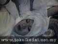 jin idrus masuk islam