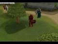 videos de The New Full Dragon - Runescape