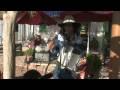 videos de Alligator and Bayou Boogie Perform - Tucson Arizona