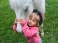 Little girl riding pony bridleless, bareback (+rearing, spanish walk, laying down, sit...)