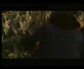 Irish Chainsaw Massacre