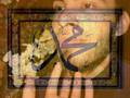 In the Footsteps of the Prophet - Dr Ibrahim Dremali Part 1