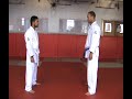 GRACIE JIU-JITSU VS JEDI.wmv