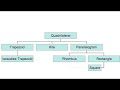 QUADRILATERAL SONG