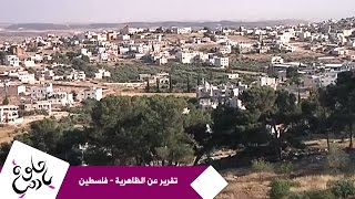 حلوة يا دنيا - تقرير عن الظاهرية - فلسطين
