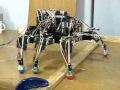 Autonomous Robot With Neurologically-Based Control System