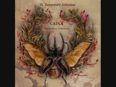 antennae - Post-black metal / Shoegaze / Expérimental.