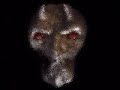 Skinny Puppy - Brap