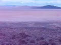 Antelope Running near Silver Island - Bonneville Salt Flats Antelope Running near Silver Island - Bonneville Salt Flats