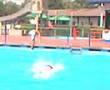 Löhner Freibad