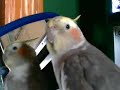 He\