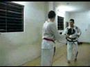 Entrenamientos de cintas negras