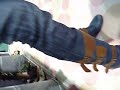 Jeffrey Campbell on the Foot--Las Vegas