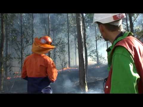 Plantation burn field trip See video