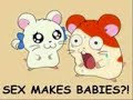 funny pic vid
