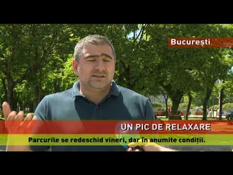 Pregătiri pentru redeschiderea parcurilor și grădinilor publice, în București