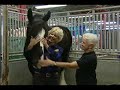Shires UNBRIDLED with Susan Kayne Shires UNBRIDLED with Susan Kayne