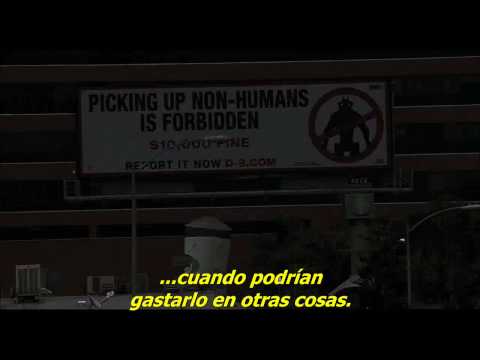 Imagen de previsualización de YouTube