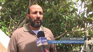 بيت لحم / الاحتلال ومستوطنوه يواصلون اعتداءاتهم على اراضي وادي فوكين  تقرير: هاني فنون