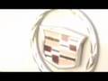 Straps-Livin-The-Goo