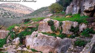 عين الزرقاء _ دير غسانة عين الزرقاء _ دير غسانة