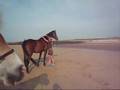 Mount your horse bareback