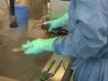 Elma Ultrasonic Elmasteam