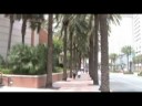 CANAL STREET-CASINO.mpg CANAL STREET-CASINO.mpg