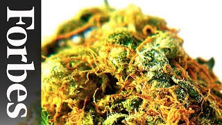 America's 2015 Marijuana Sales In Perspective