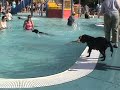 City of Fort Collins Pooch Plunge 2007