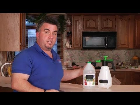 how to remove smell from carpet
