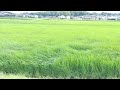 2020年7月12日
