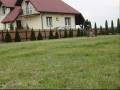 Owczarek niemiecki dlugowlosy - Beta  cz. 2