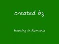 Hunting in Romania - Wild duck Hunting in Romania - Wild duck