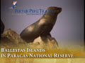 Peru Travel Vacations - The Ballestas Islands in Paracas National Reserve