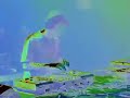 the gaspard dj set at the mahotsukai hadra party
filmed by mad stof for http://psytrancetv.org
a part of the psytrancetv show broadcasted on sattelite & dsl all around europa by lalocale tv.