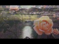 Click here to watch this video 春よ来い 松任谷由実 cover