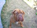 Catch with Titan