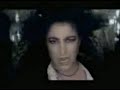 Search Video