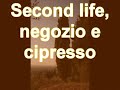 Il cipresso nel nuovo shop