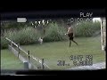 Dog Feces Thrown Over Fence Two Times