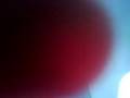 videos de --