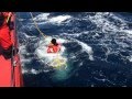 Killer Whale vs Scuba Diver - Volvo Ocean Race 2011-12