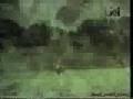videos de Malon - 