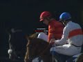 Course à Pau Prix Guétary