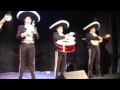 Latin / El Mariachi del mariachi Mexico / www.latin-web.de
