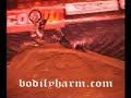 !!!!FREESTYLE MX CRASH!!!!