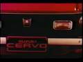 CERVO 1