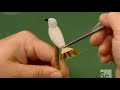 How It's Made (Season 13 / Episode 7 / Part 2)