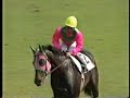 第５７回日本ダービー２０万人の中野コールアイネスフウジン逃げ切り勝ちダービーレコード
